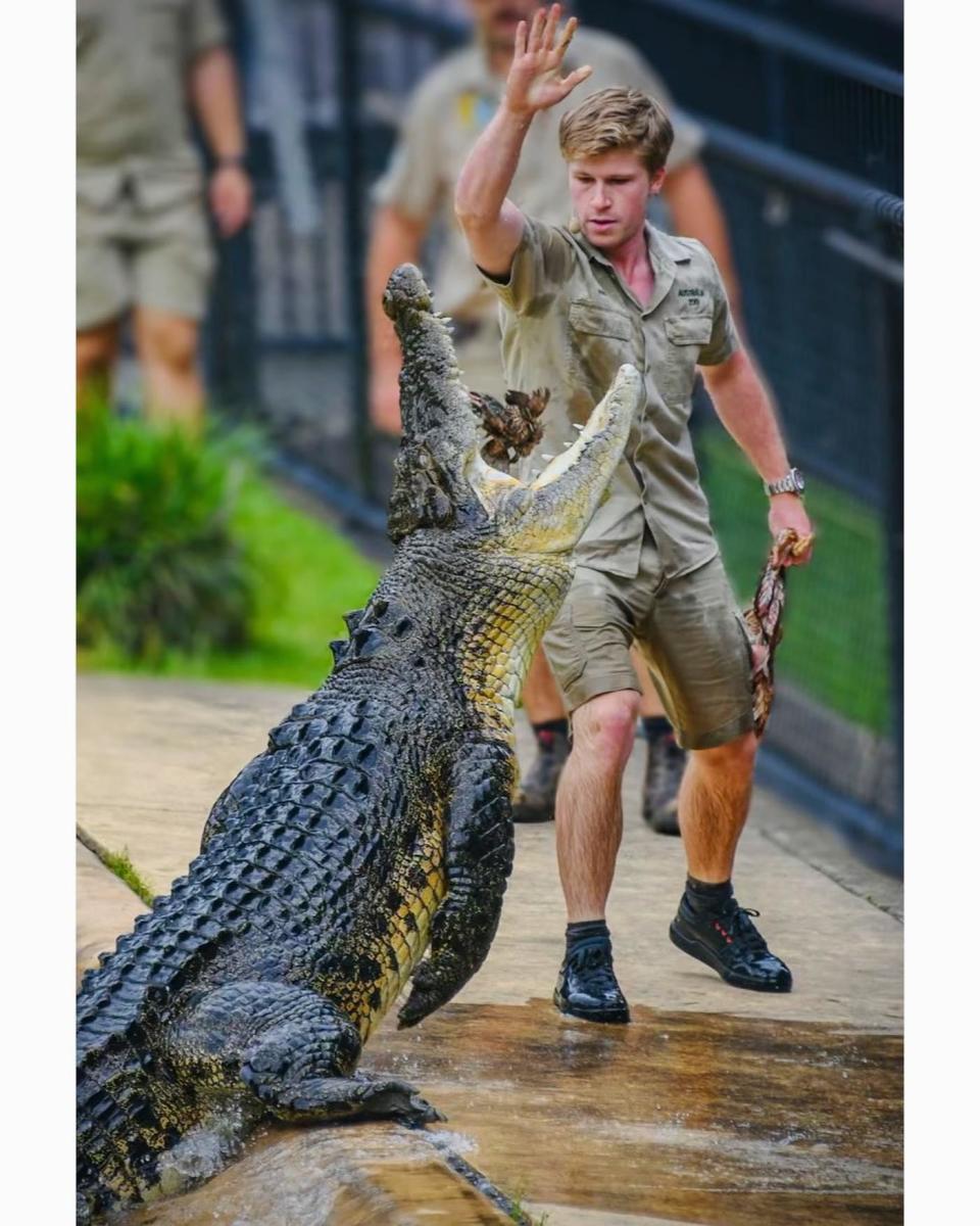 Steve Irwin's Legacy Lives On: Robert Irwin at Work in the Wild