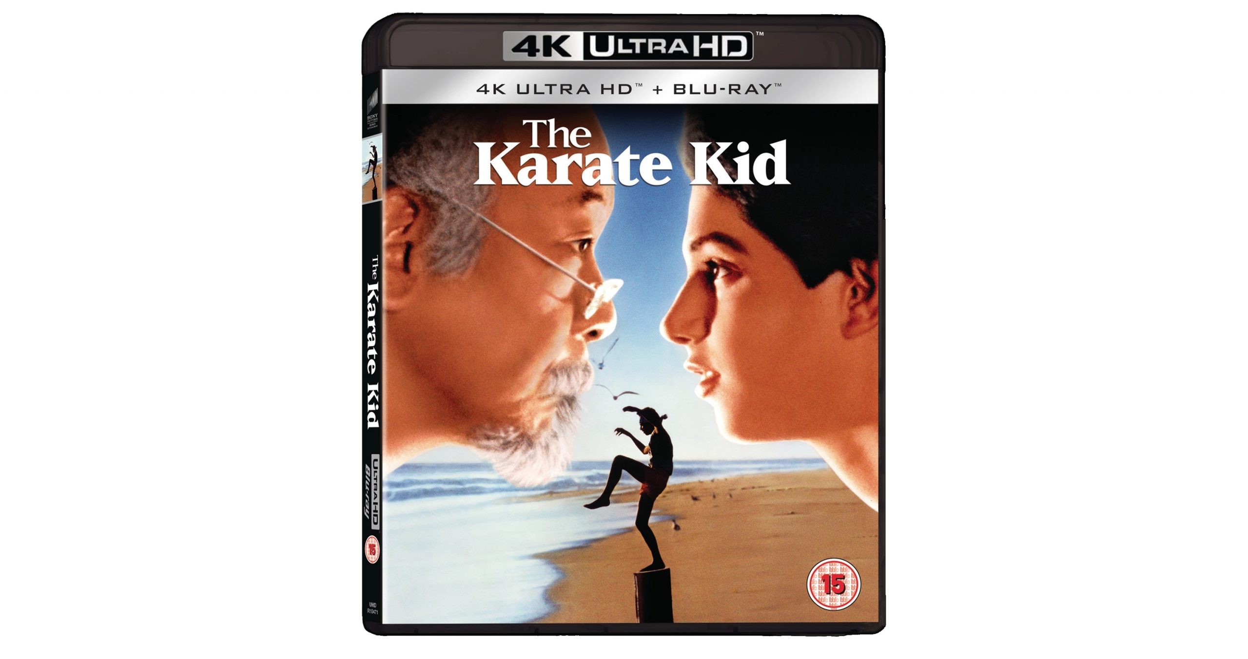 Ralph Macchio and William Zabka as Daniel LaRusso and Johnny Lawrence in Cobra Kai