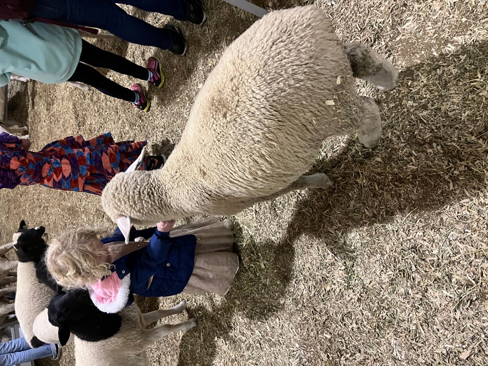 Fairgrounds at LA County Fair 2025 in Pomona, California
