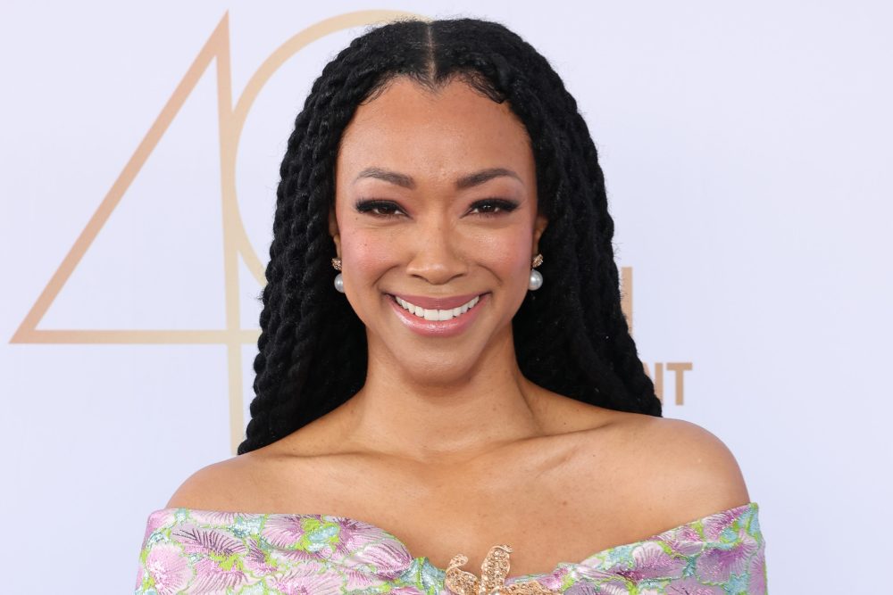 Sonequa Martin-Green and Donnie Wahlberg star in Boston Blue, the Blue Bloods spinoff