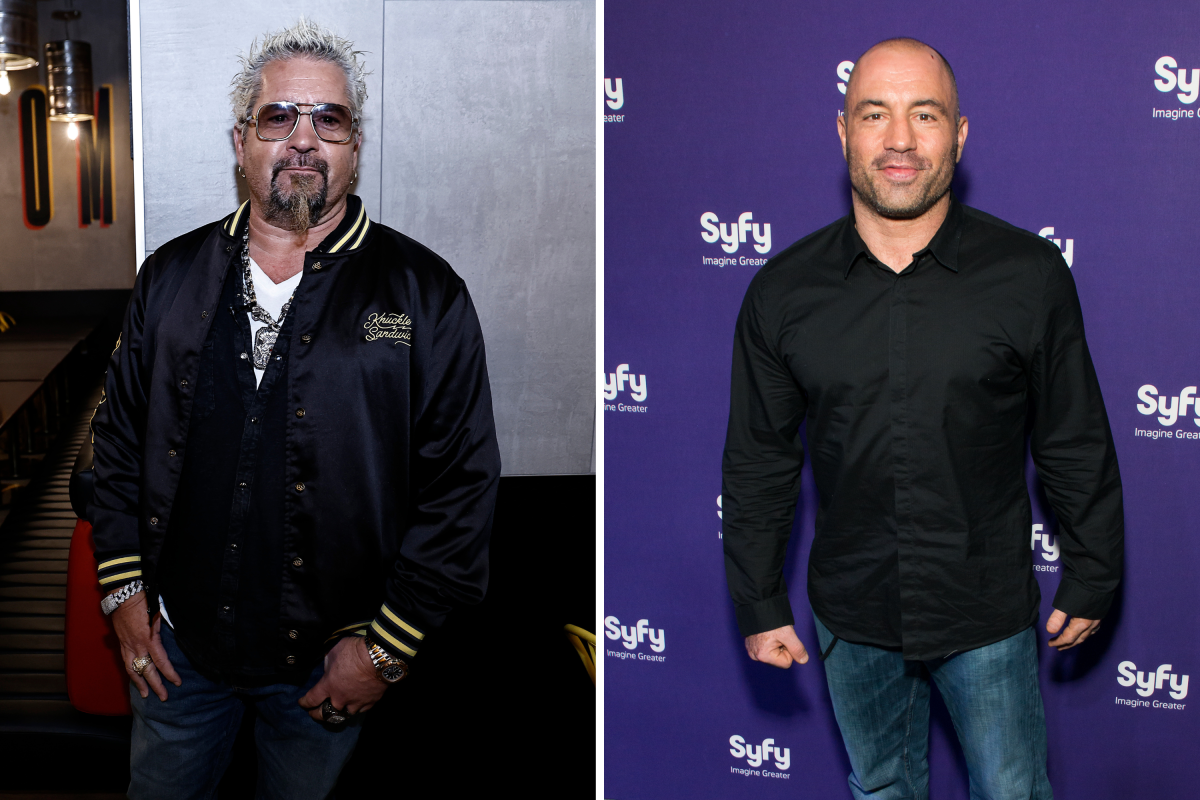 Joe Rogan podcast discussion with celebrity guest